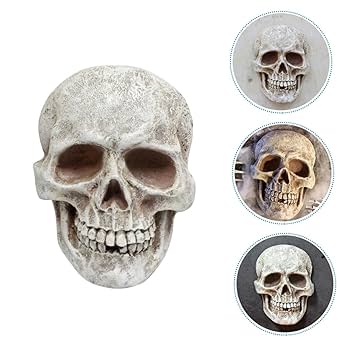 Amazon.co.jp: WRITWAA 頭蓋骨の装飾品 スカルウォールアート